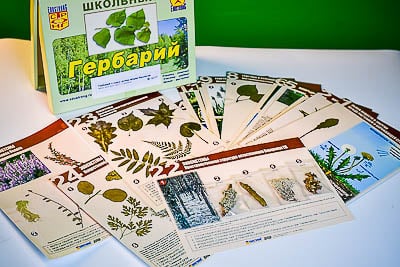 Картинка Гербарий к курсу основ по общей биологии