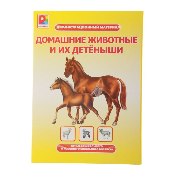 Картинка Демонстрационный материал «Домашние животные и их детеныши»