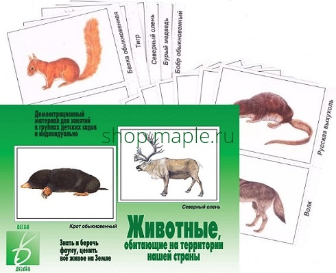 Картинка Дем.-печатный материал Животные нашей страны