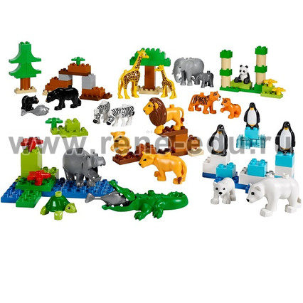 Картинка Дикие животные. DUPLO