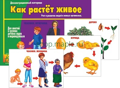 Картинка Дем.-печатный материал Как растет живое
