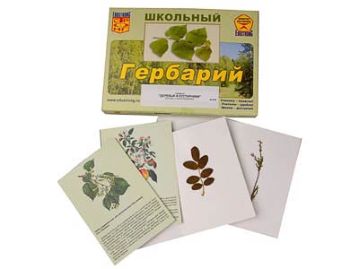 Картинка Гербарий Деревья и кустарники