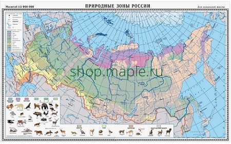 Картинка Учебная карта "Природные зоны России" (матовое, 2-стороннее лам.)
