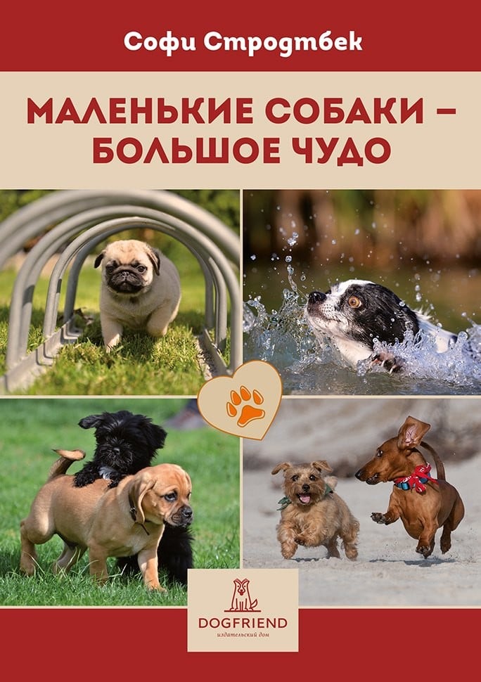 Картинка Маленькие собаки - большое чудо.